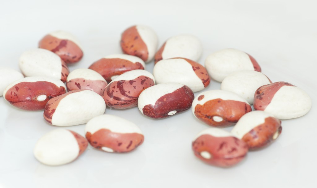 Basic Ass Pinto&nbsp;Beans