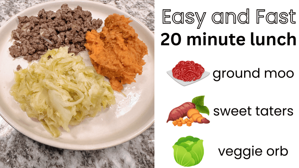 easy and healthy lunch idea